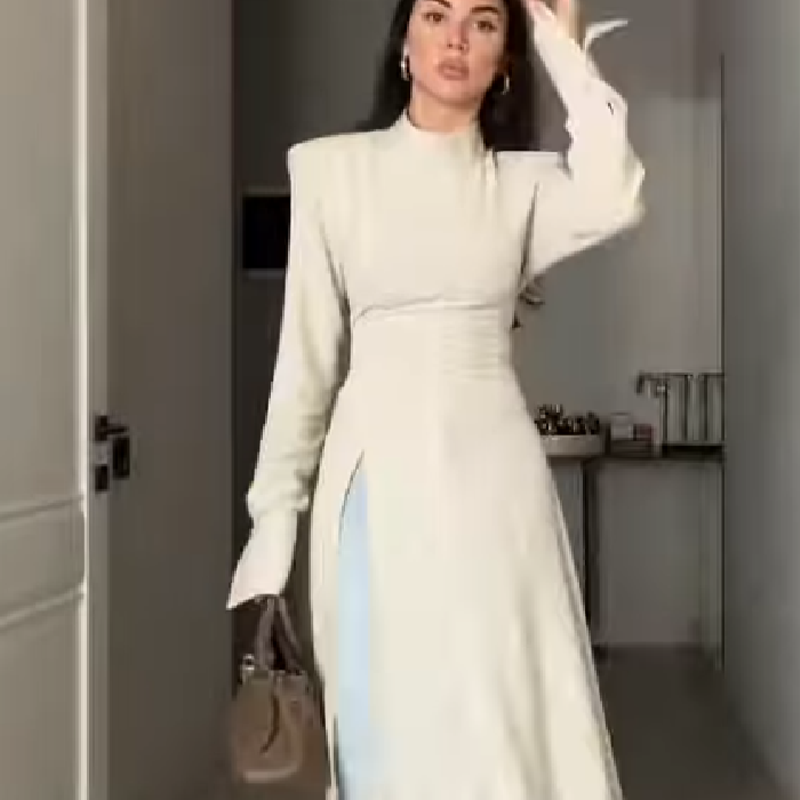 Women's Elegant High Neck Long - Women'S Office Formal Wear For Ladies のレビューと価格